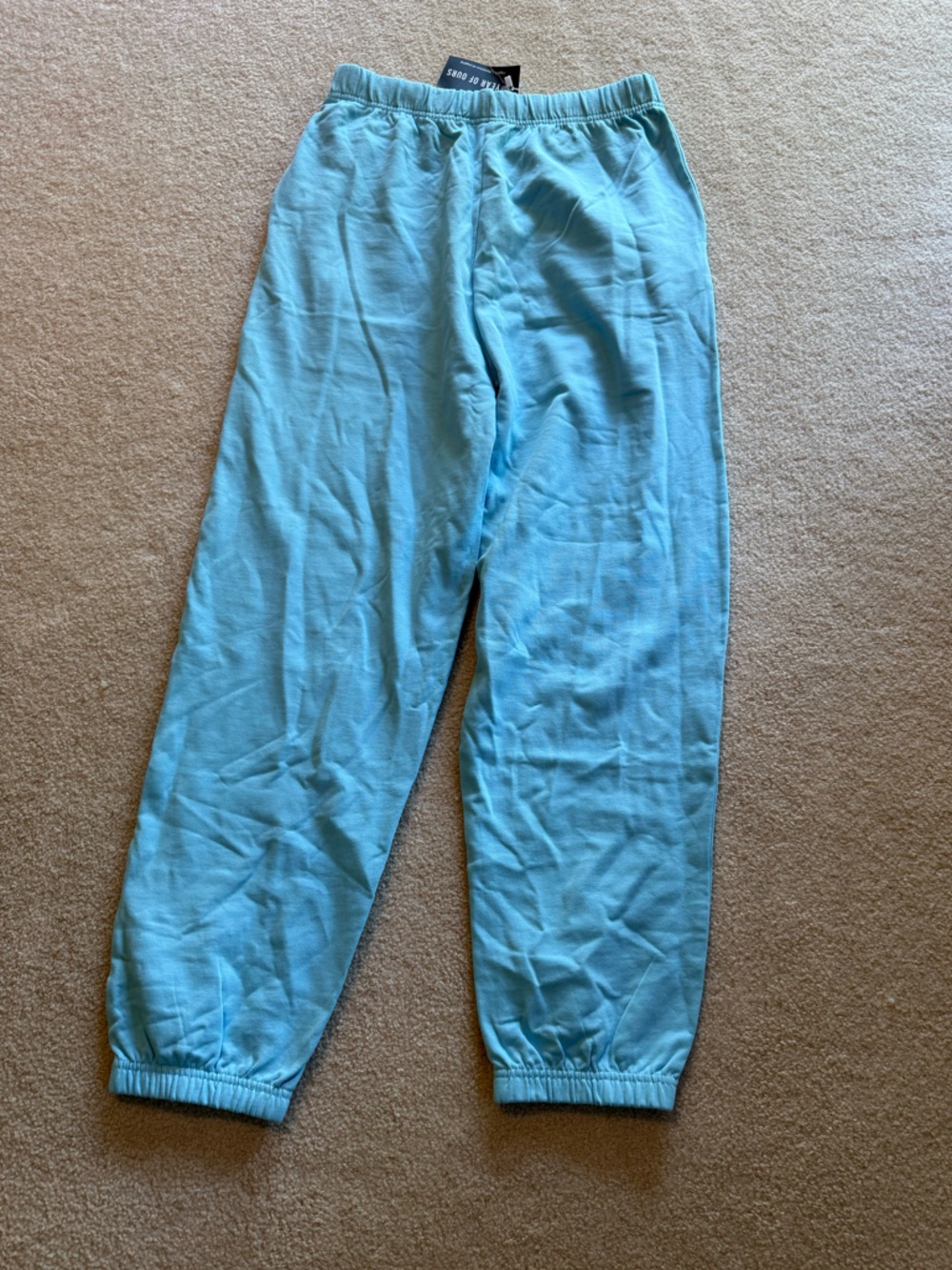 NWT Cotton Year of Ours Light Blue Elastic Waist Jogger Pants - XS/S - Picture 3 of 4